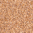 Sanniti Pearled Farro, 17.6 oz For Sale