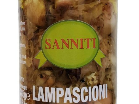 [Best Before: 02 15 25] Sanniti Lampascioni Grilled Wild Onions Jar, 10 oz Discount