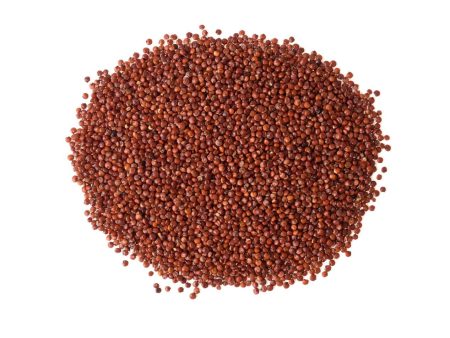 Sanniti Red Quinoa Bag, 10 lbs Online Sale