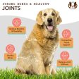 Natural Dog Company Liquid Glucosamine Hip & Joint Oil for Dogs Online Hot Sale