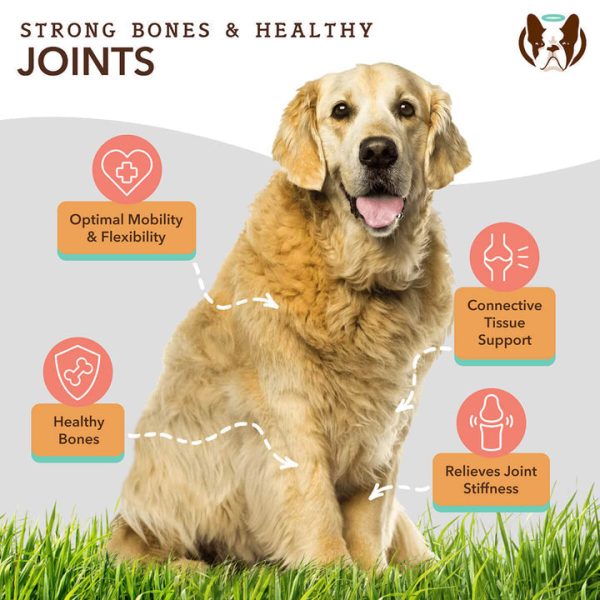 Natural Dog Company Liquid Glucosamine Hip & Joint Oil for Dogs Online Hot Sale