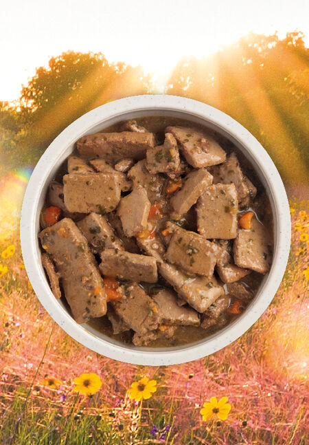 ACANA Beef Recipe in Bone Broth Premium Chunks Wet Dog Food For Cheap