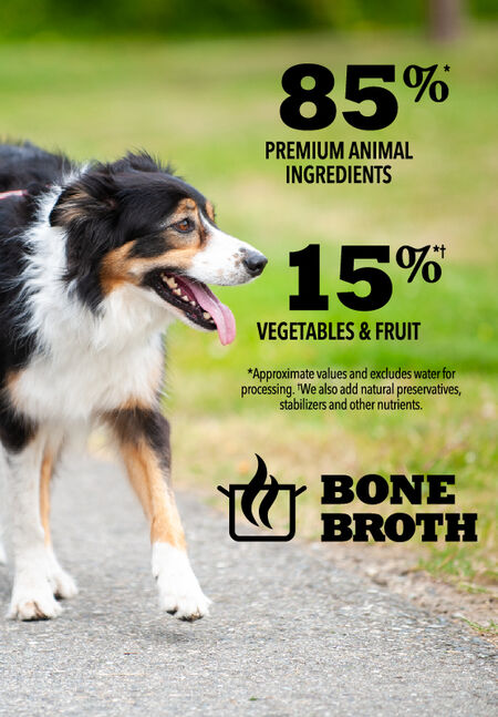 ACANA Beef Recipe in Bone Broth Premium Chunks Wet Dog Food For Cheap